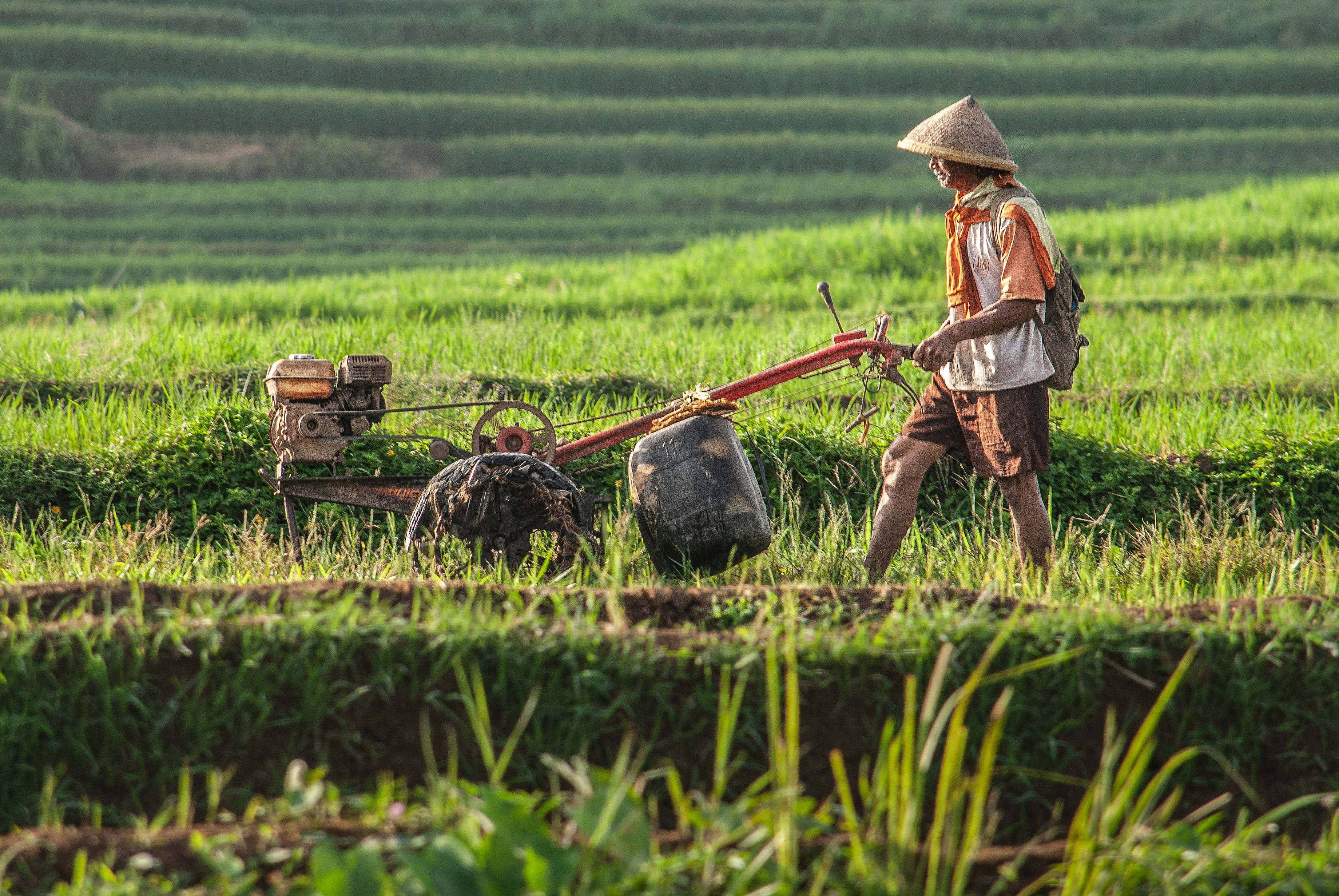 Farmers learning