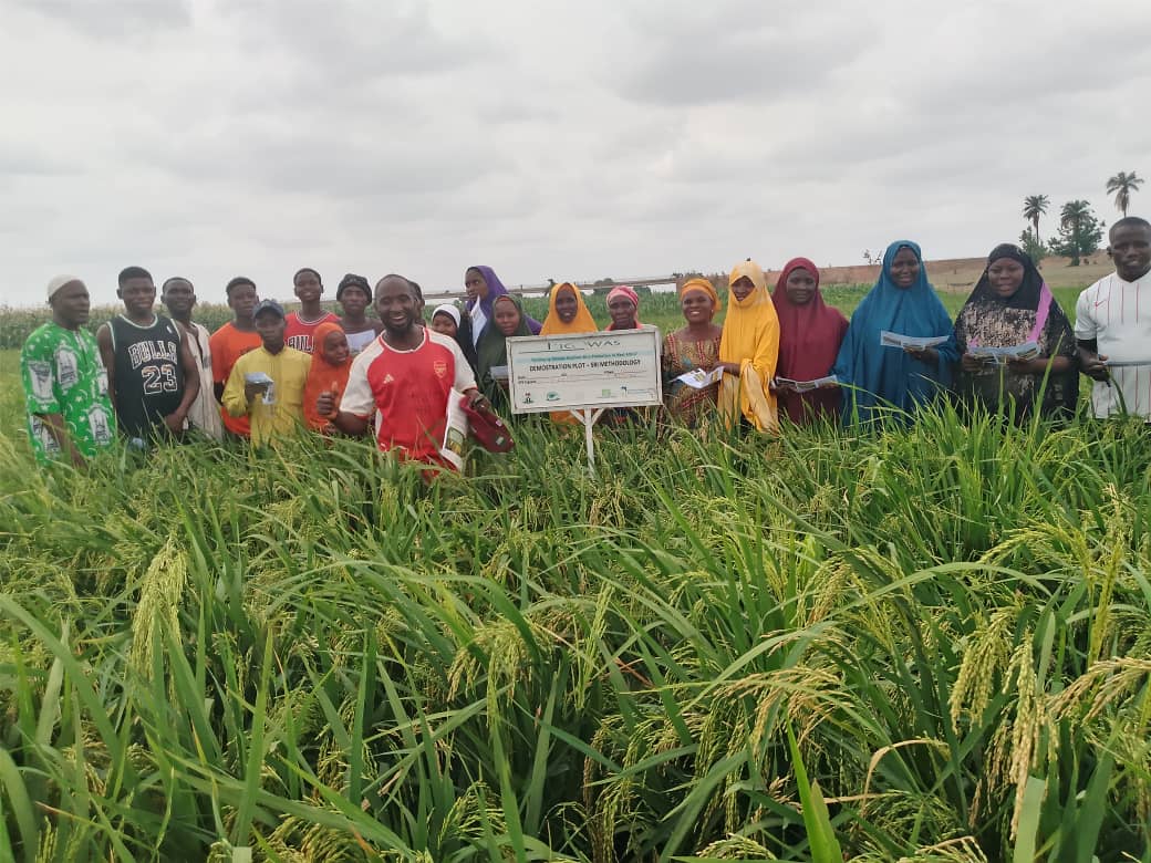 Organize Farmers Field School for FBO's and Reach Out To 3,400 Farmers
