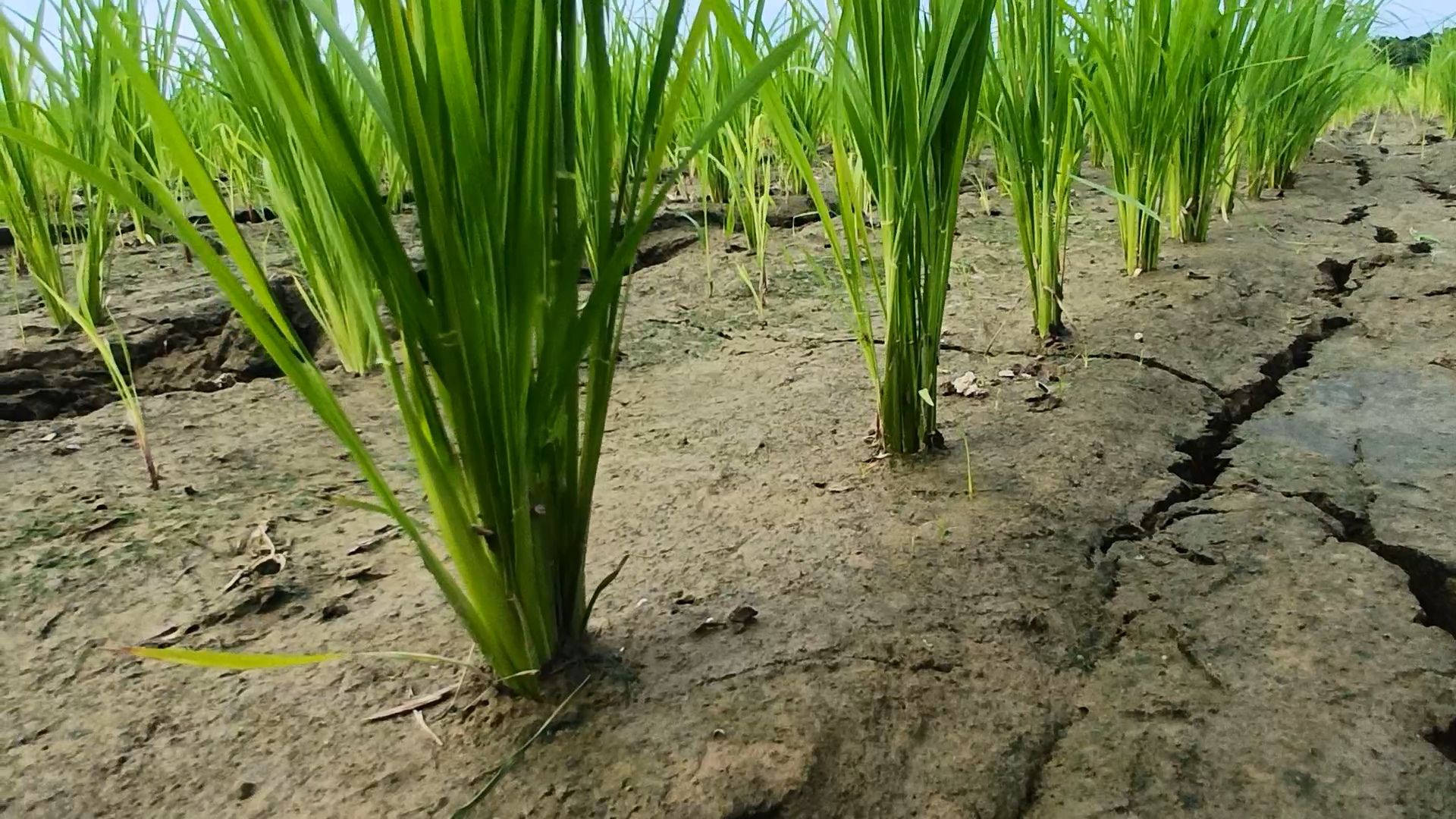 Careful Water Management